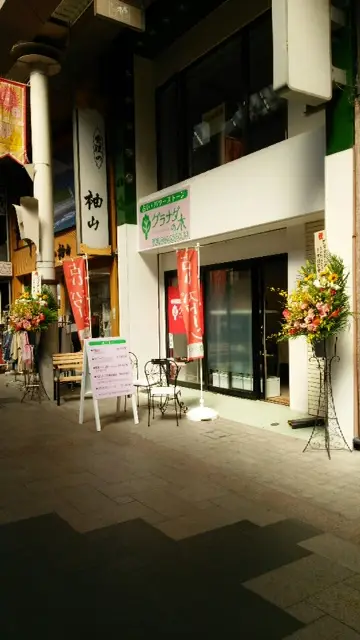 グラナダの木への道順